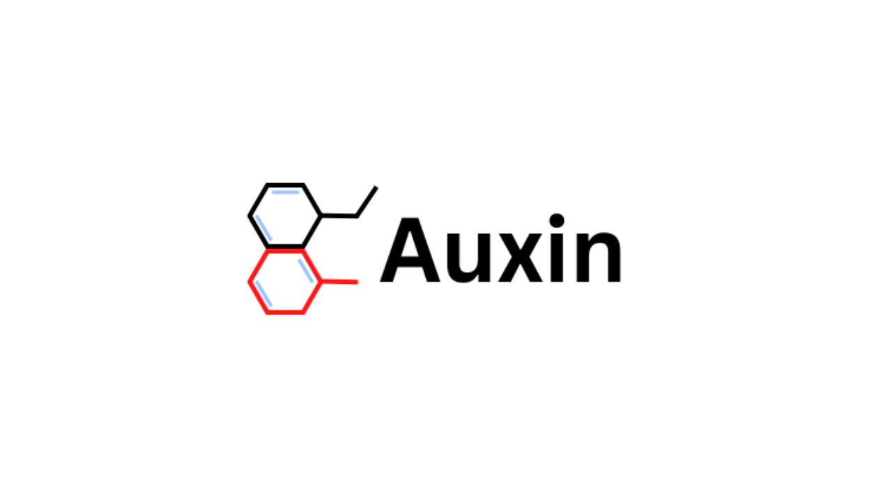 Auxin.io Shifts Focus to Consulting and Services 