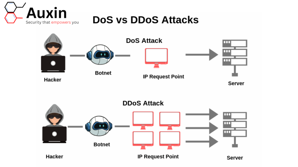 DDoS 